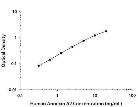 Human Total Annexin A2 DuoSet IC ELISA 